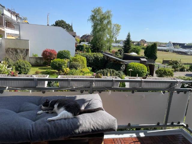 Wohnung kaufen in Bilk, Düsseldorf