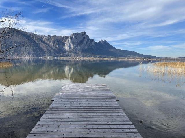 Grundstück kaufen in Innerschwand, Oberösterreich