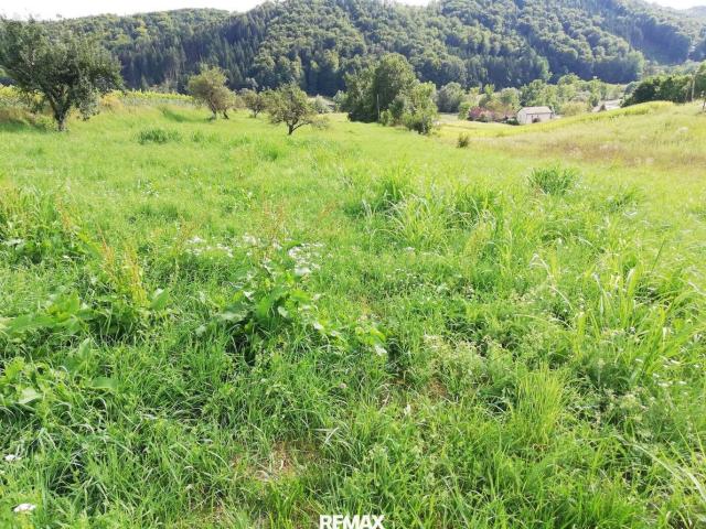 Grundstück kaufen in Gamlitz, Steiermark