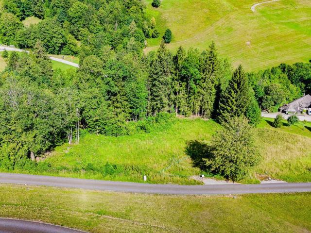 Immobilie kaufen in Traunkirchen, Bezirk Gmunden