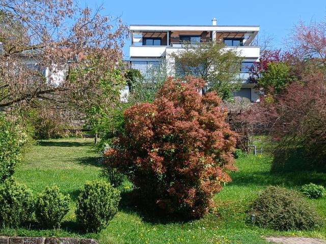 Erdgeschosswohnung kaufen in Weinsberg (Kernstadt), Weinsberg