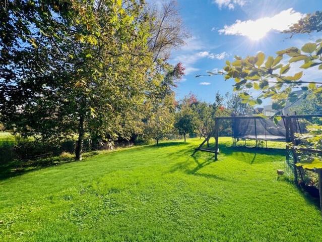 Grundstück kaufen in Lustenau, Bezirk Dornbirn