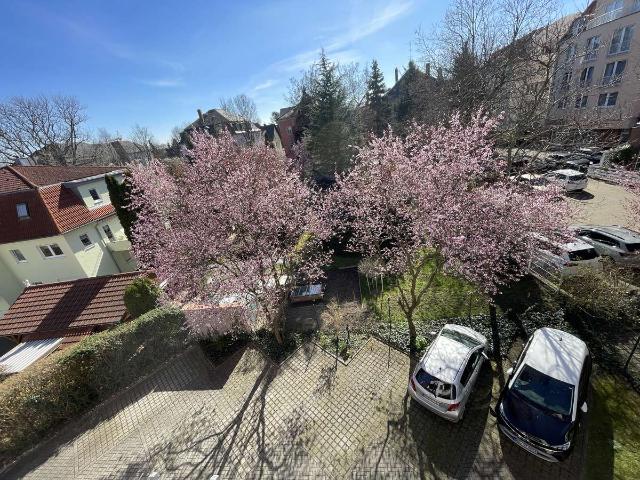 Wohnung kaufen in Cotta, Dresden
