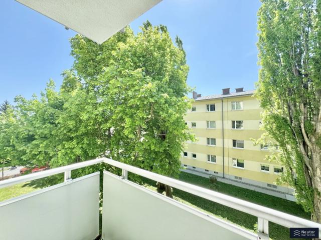 Apartment mieten in Schöffelstadt, Mödling