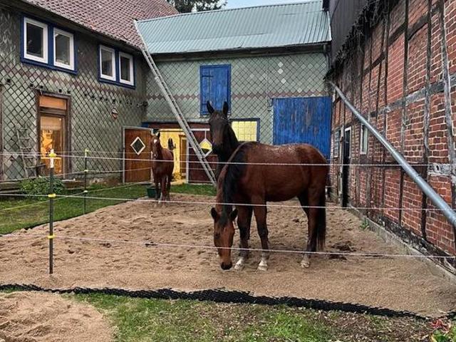 Haus kaufen in Bockenem, Niedersachsen