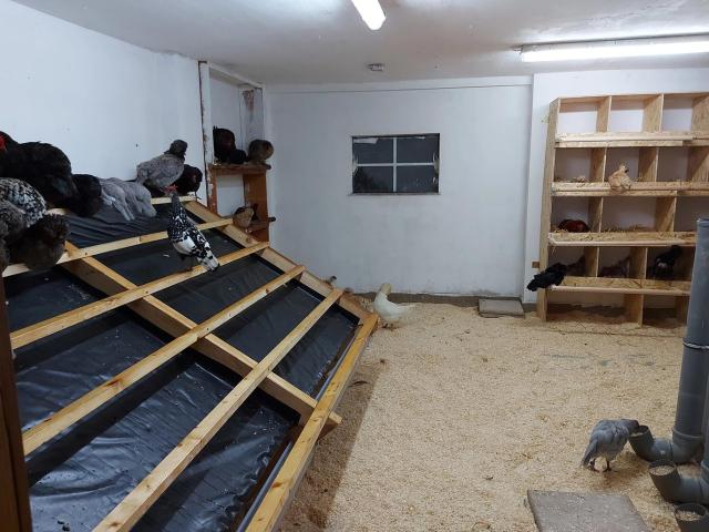 Haus kaufen in Burgauberg-Neudauberg, Burgenland