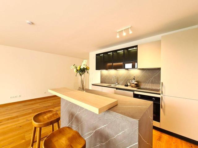 Apartment mieten in Pitten, Niederösterreich