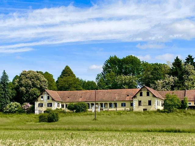 Haus kaufen in Bad Waltersdorf