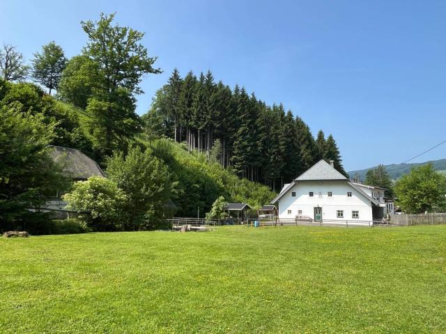 Haus kaufen in Altmünster, Oberösterreich
