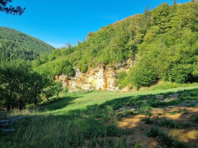 Grundstück kaufen in Weinitzen, Steiermark