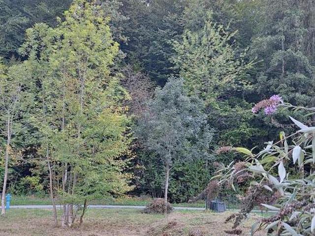 Grundstück kaufen in Bezirk Graz-Umgebung, Steiermark