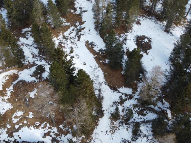 Grundstück kaufen in Reichenau, Kärnten
