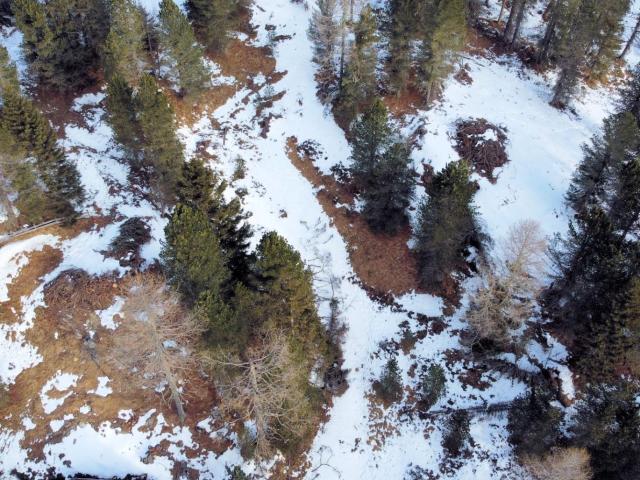 Grundstück kaufen in Reichenau, Kärnten