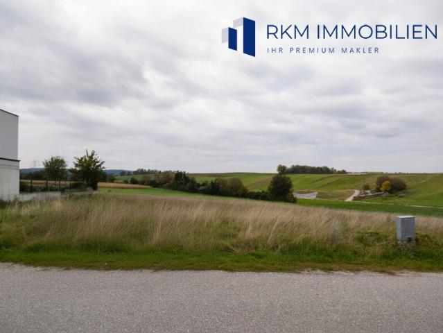 Grundstück kaufen in Rangersdorf, Kärnten