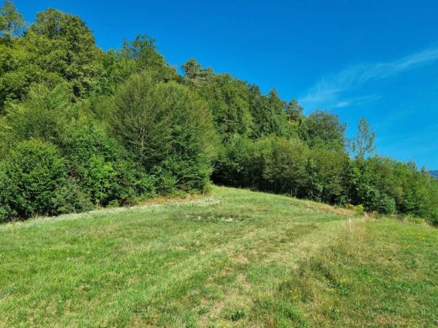 Grundstück kaufen in Weinitzen, Steiermark