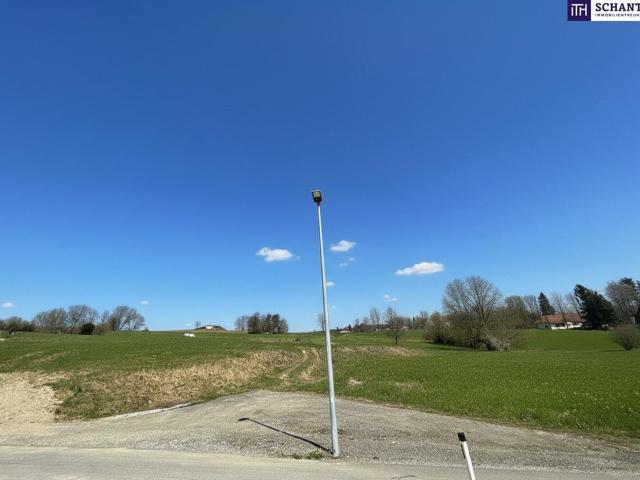 Grundstück kaufen in Kumberg, Steiermark