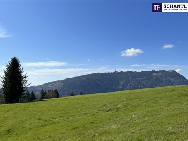 Grundstück kaufen in Kumberg, Steiermark