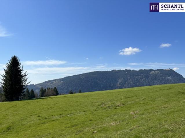 Grundstück kaufen in Kumberg, Steiermark