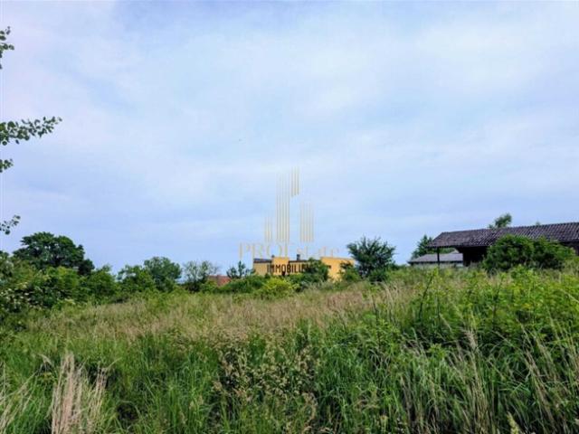 Grundstück kaufen in Buchkirchen, Oberösterreich