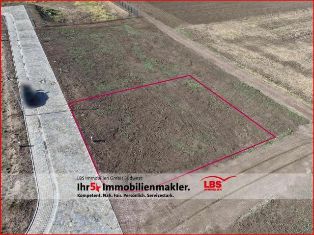 Erdgeschosswohnung kaufen in Köngernheim, Landkreis Mainz-Bingen
