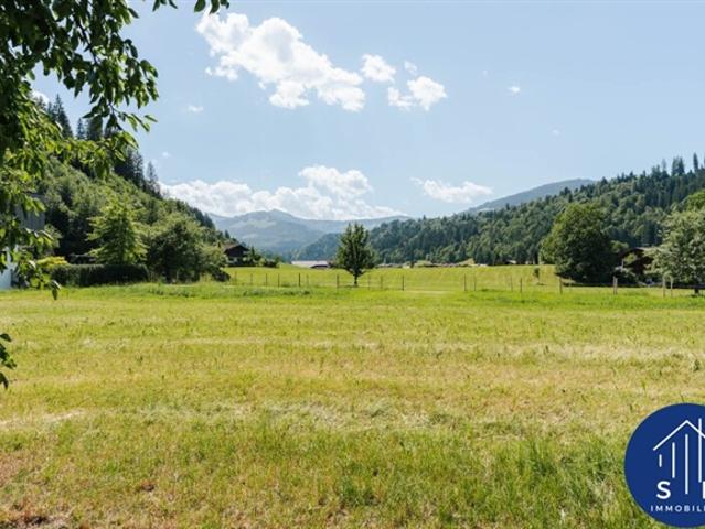 Grundstück kaufen in Hopfgarten i.Br., Tirol