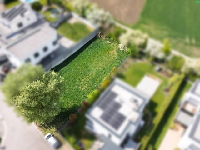 Grundstück kaufen in Moosbrunn, Niederösterreich