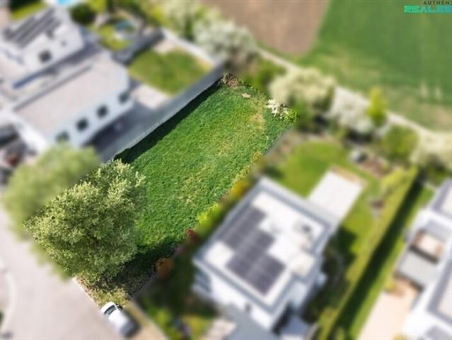 Grundstück kaufen in Moosbrunn, Niederösterreich