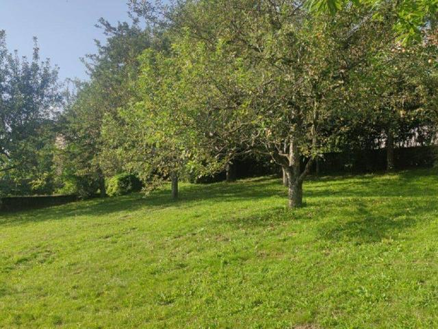 Immobilie kaufen in Sankt Peter, Moosburg