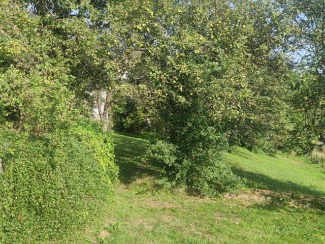 Grundstück kaufen in Moosburg, Kärnten