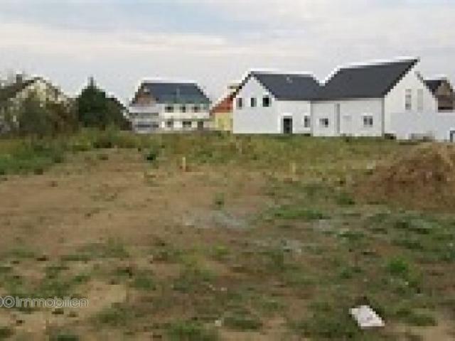 Grundstück kaufen in Engelhartstetten, Niederösterreich