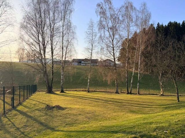 Grundstück kaufen in Seekirchen, Salzburg