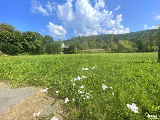 Immobilie kaufen in Rothenthurn, Kärnten