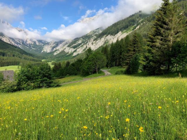 Grundstück kaufen in Turnau, Steiermark