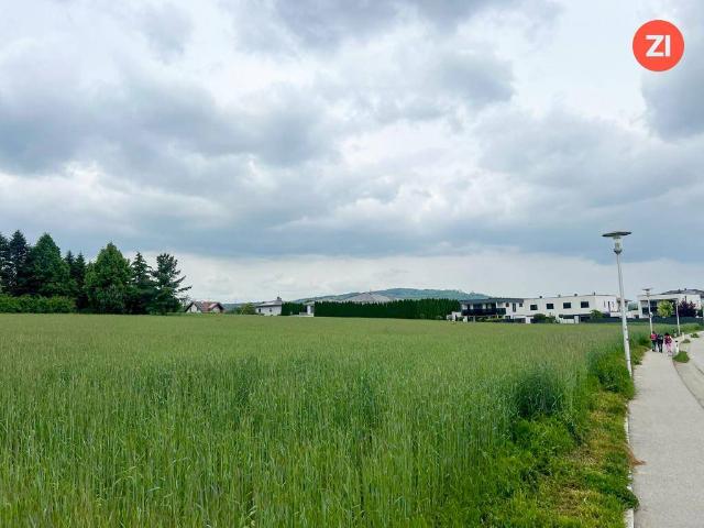 Immobilie kaufen in Thurnharting, Pasching