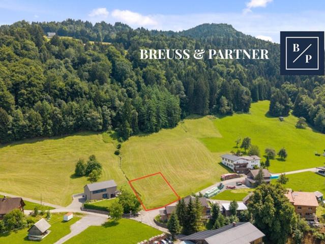 Grundstück kaufen in Zwischenwasser, Vorarlberg