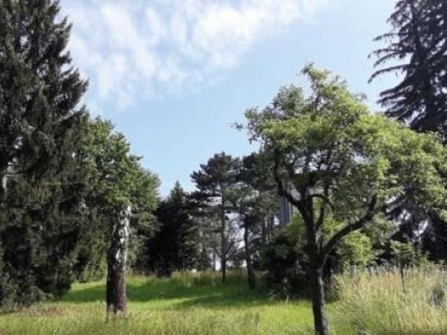 Grundstück kaufen in Liesing, Wien