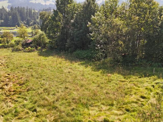 Grundstück kaufen in Kirchberg in Tirol, Tirol