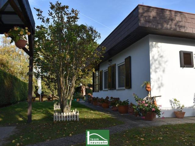 Haus kaufen in Feriensiedlung Trausdorf II, Trausdorf an der Wulka