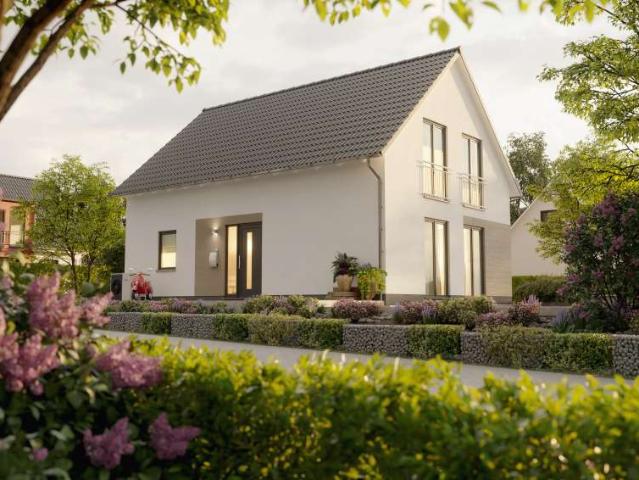 Haus kaufen in Oststeinbek, Kreis Stormarn