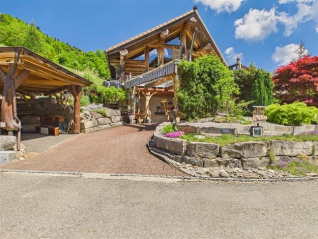 Einfamilienhaus kaufen in Beinwil (SO), Solothurn