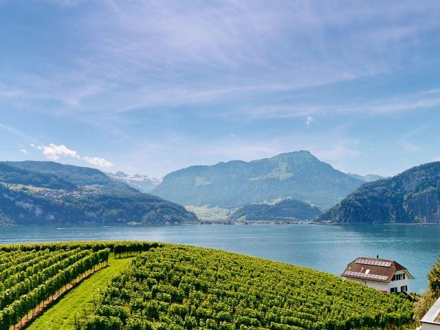 Reihenfamilienhaus mieten in Lü