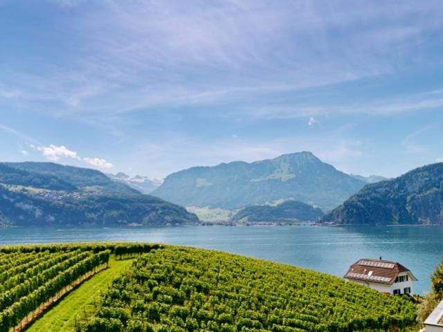 Einfamilienhaus mieten in Lü