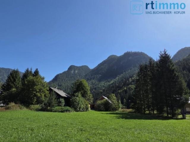 Grundstück kaufen in Gosau, Oberösterreich