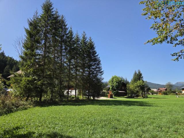 Grundstück kaufen in Gosau, Oberösterreich