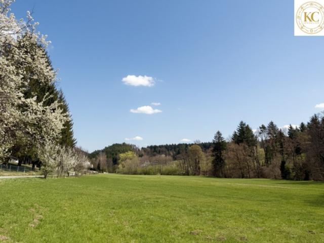 Grundstück kaufen in Zösenberg, Weinitzen