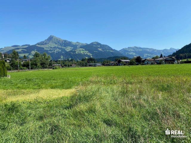 Immobilie kaufen in Aurach bei Kitzbühel, Tirol