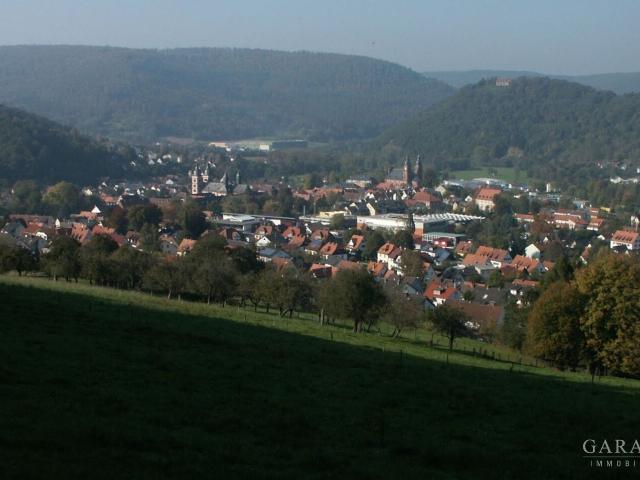 Landwirtschaft kaufen in Amorbach