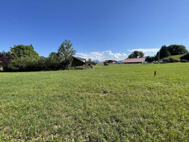 Immobilie kaufen in Oberhofen am Irrsee, Oberösterreich