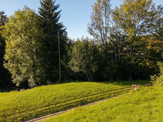 Grundstück kaufen in Zwischenwasser, Vorarlberg