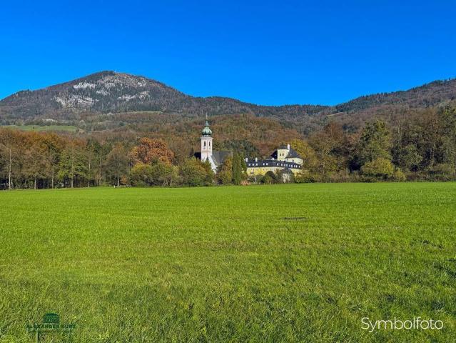 Grundstück kaufen in Hagenau, Salzburg